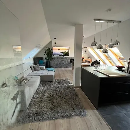 105 Qm Neues Klimatisiertes Appartment Fuer Familien Privater Parkplatz Chemnitz Buitenkant foto