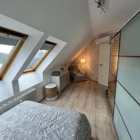 105 Qm Neues Klimatisiertes Appartment Fuer Familien Privater Parkplatz Chemnitz Buitenkant foto